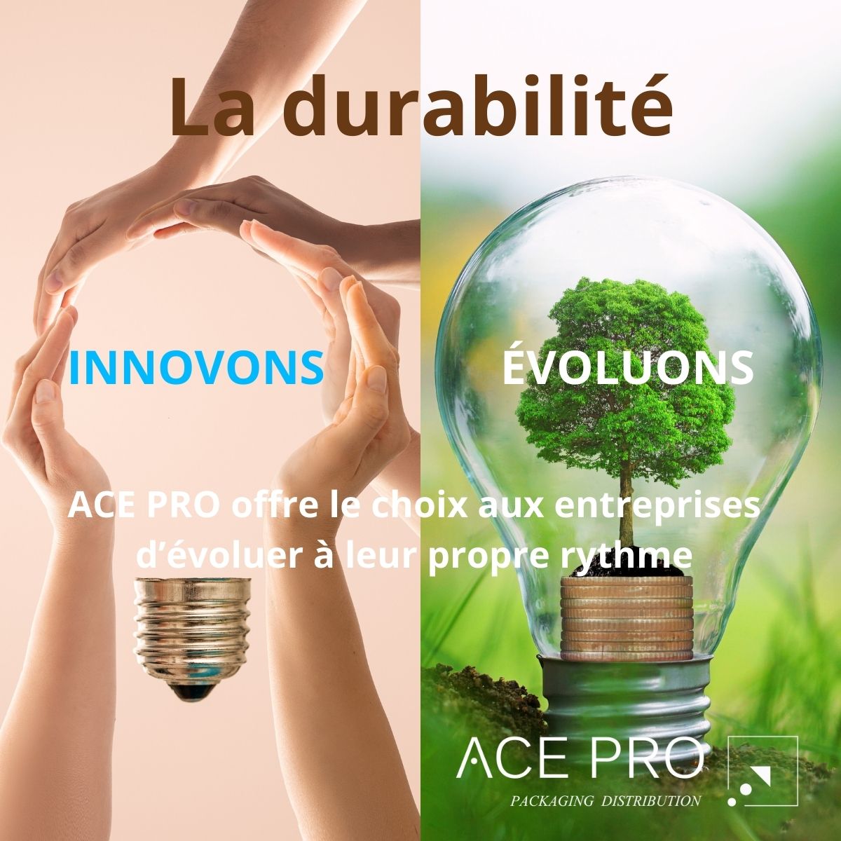 Efficience Pilier de valeur_Durabilité_Innovation_évolution